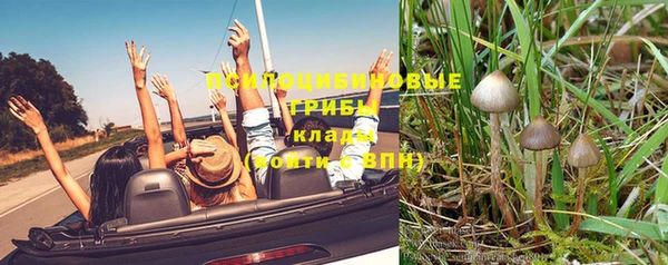 экстази Новодвинск