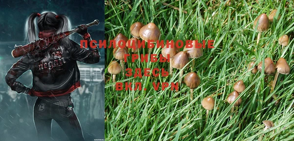 тгк Новокубанск